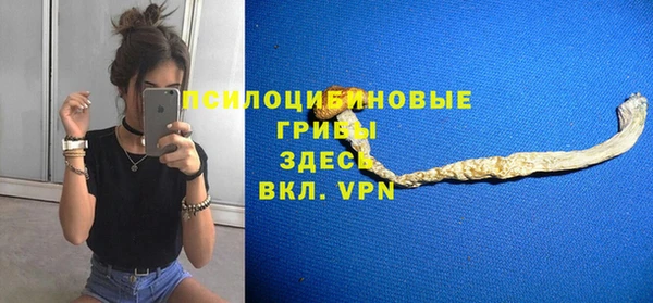 шишки Липки