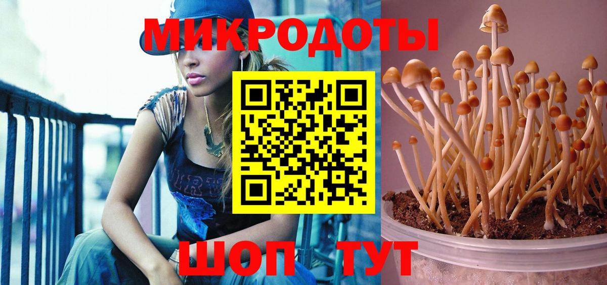 Галлюциногенные грибы Psilocybe  Вход с VPN  Ачинск 